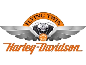 FLYING TWIN